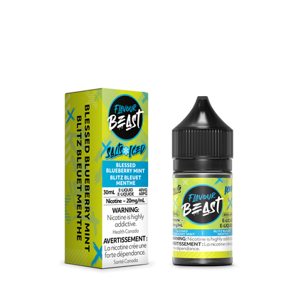 Flavour Beast Blessed Blueberry Mint Iced E-Liquid with fresh blueberries and mint leaves, highlighting its sweet and icy taste.