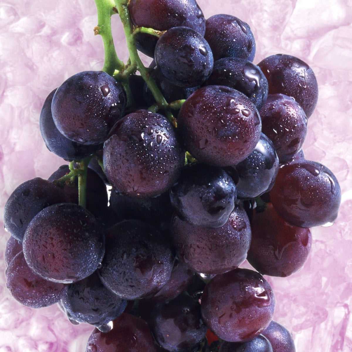 Relx Creator Grape Ice Disposable Pod 2ml + 10ml