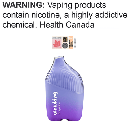 Wowking Disposable - Grape Ice 20mg 2ml up close, showcasing sleek design and sweet grape flavor with an icy twist.