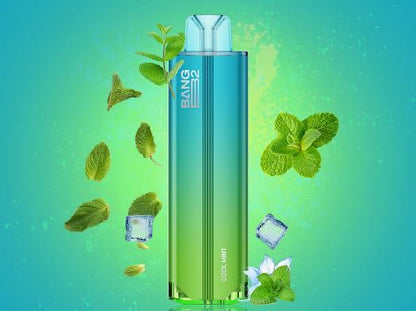 Bang B2 Cool Mint Disposable 20mg 2mL with frosty elements, emphasizing its crisp mint and menthol vape experience.